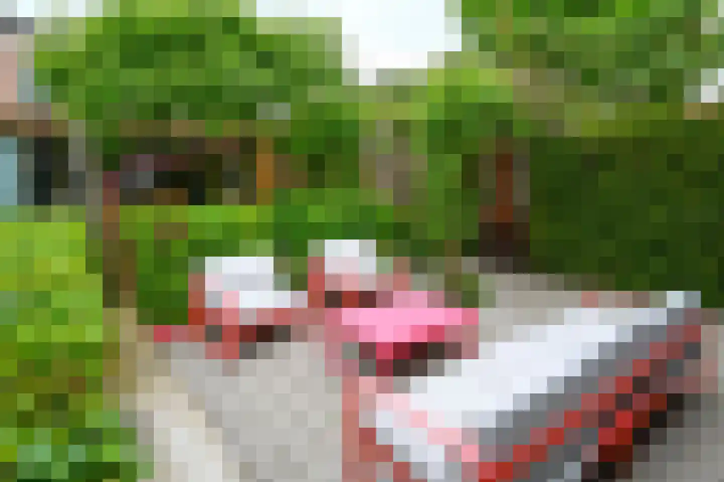 Voorstraat 6 Kockengen thumbnail 39