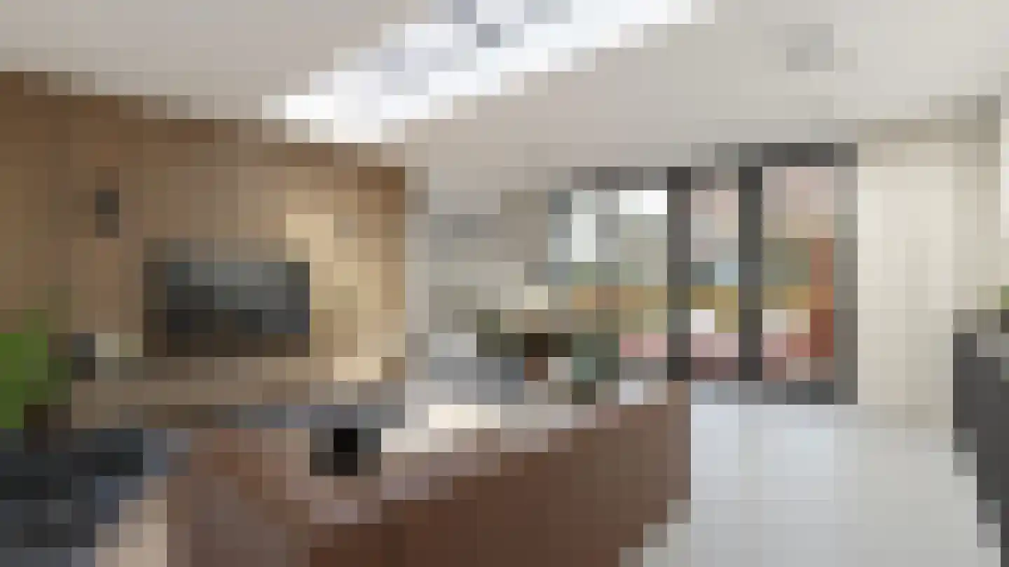 Voorstraat 6 Kockengen thumbnail 43