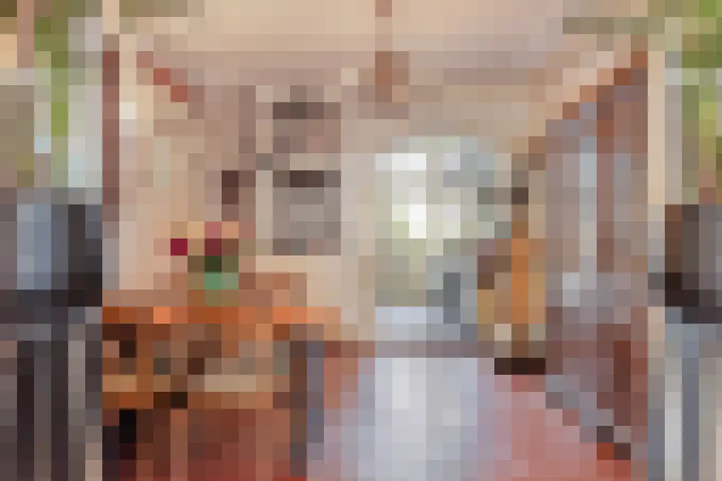 Voorstraat 6 Ooltgensplaat thumbnail 10