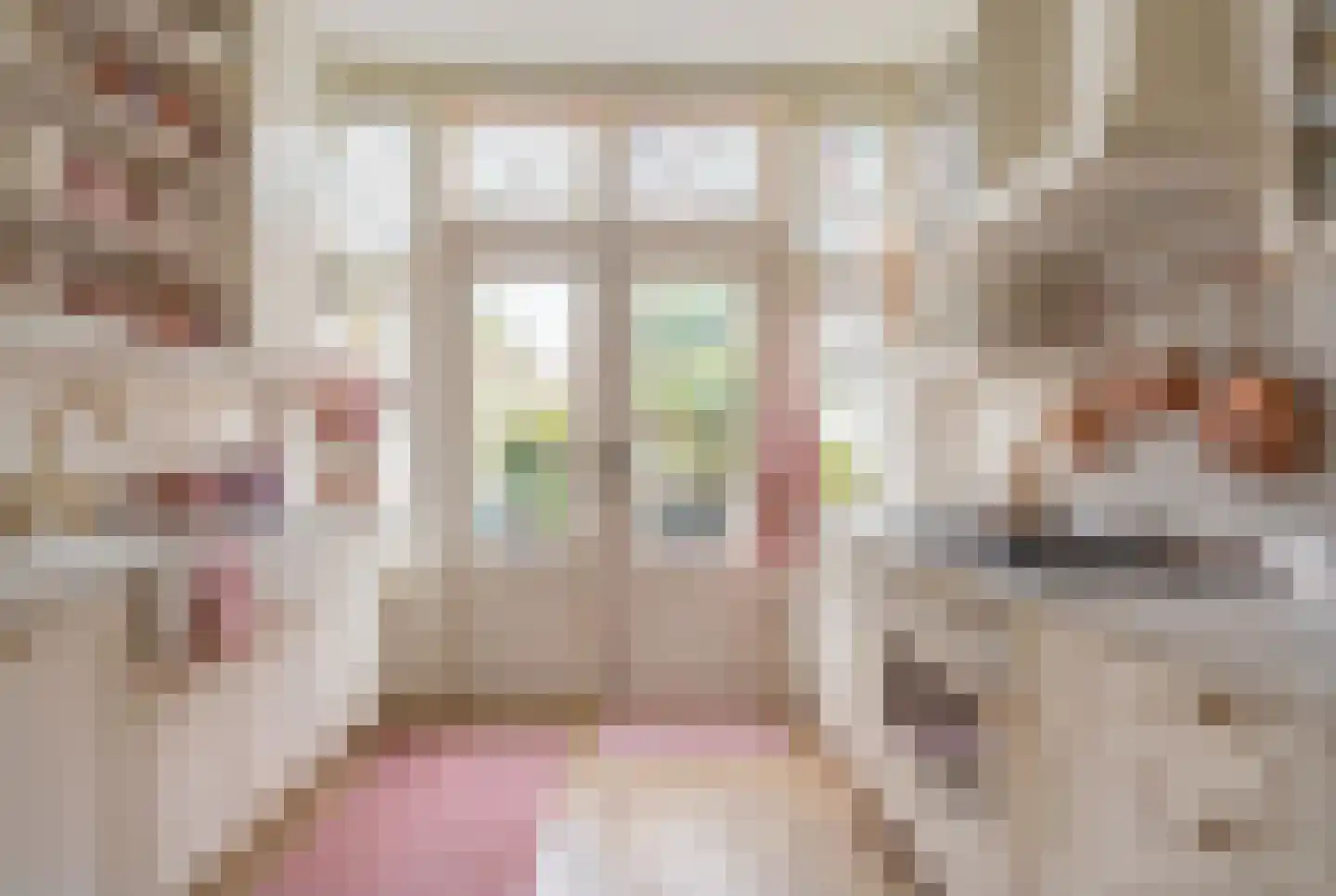 Voorstraat 6 Ooltgensplaat thumbnail 13