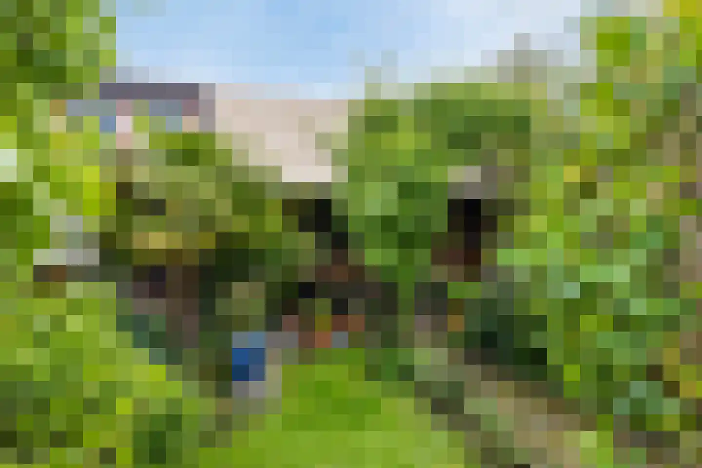 Voorstraat 6 Ooltgensplaat thumbnail 33