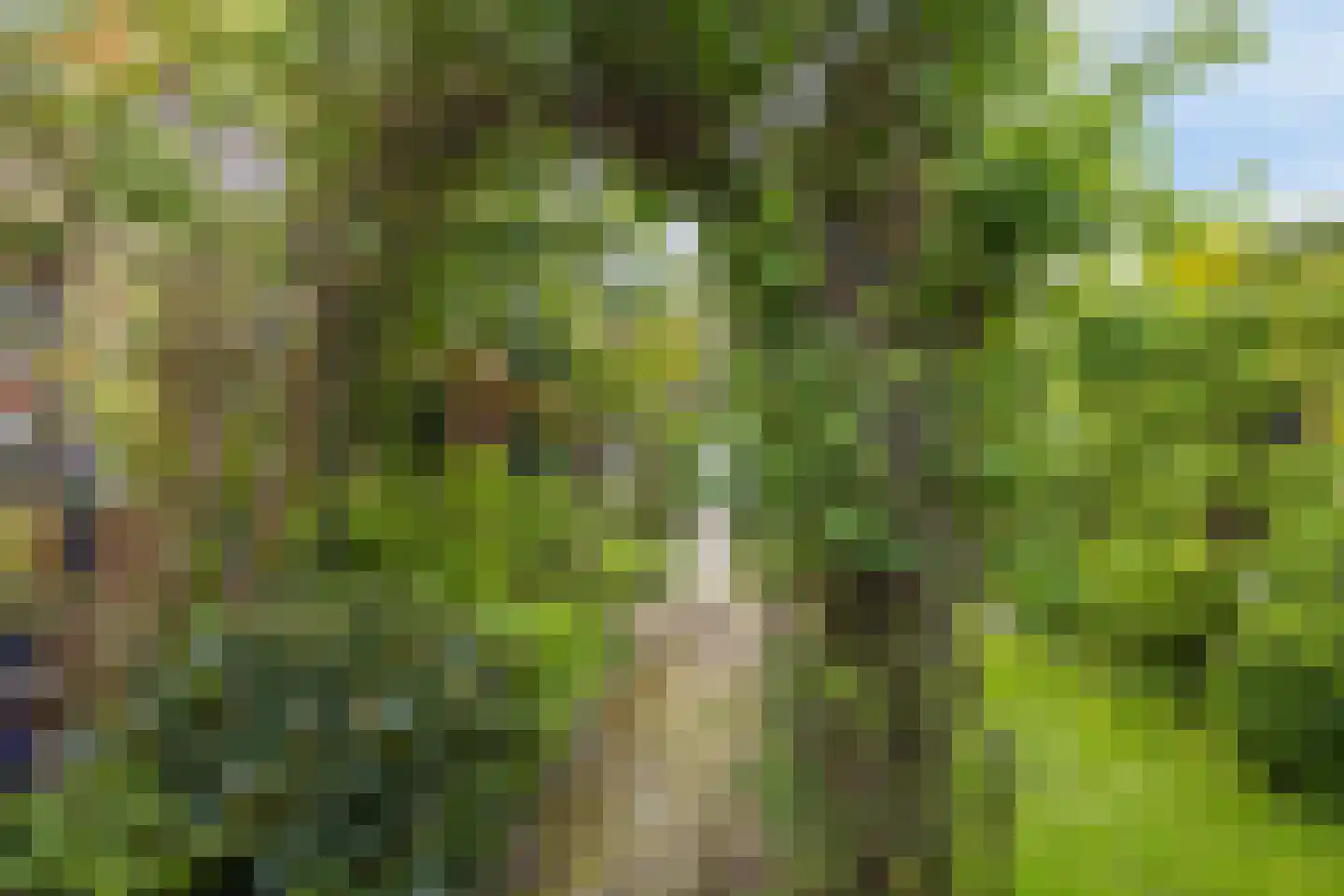 Voorstraat 6 Ooltgensplaat thumbnail 35