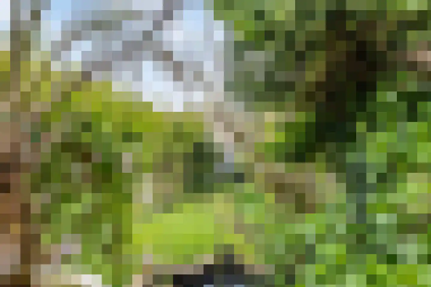 Voorstraat 6 Ooltgensplaat thumbnail 37