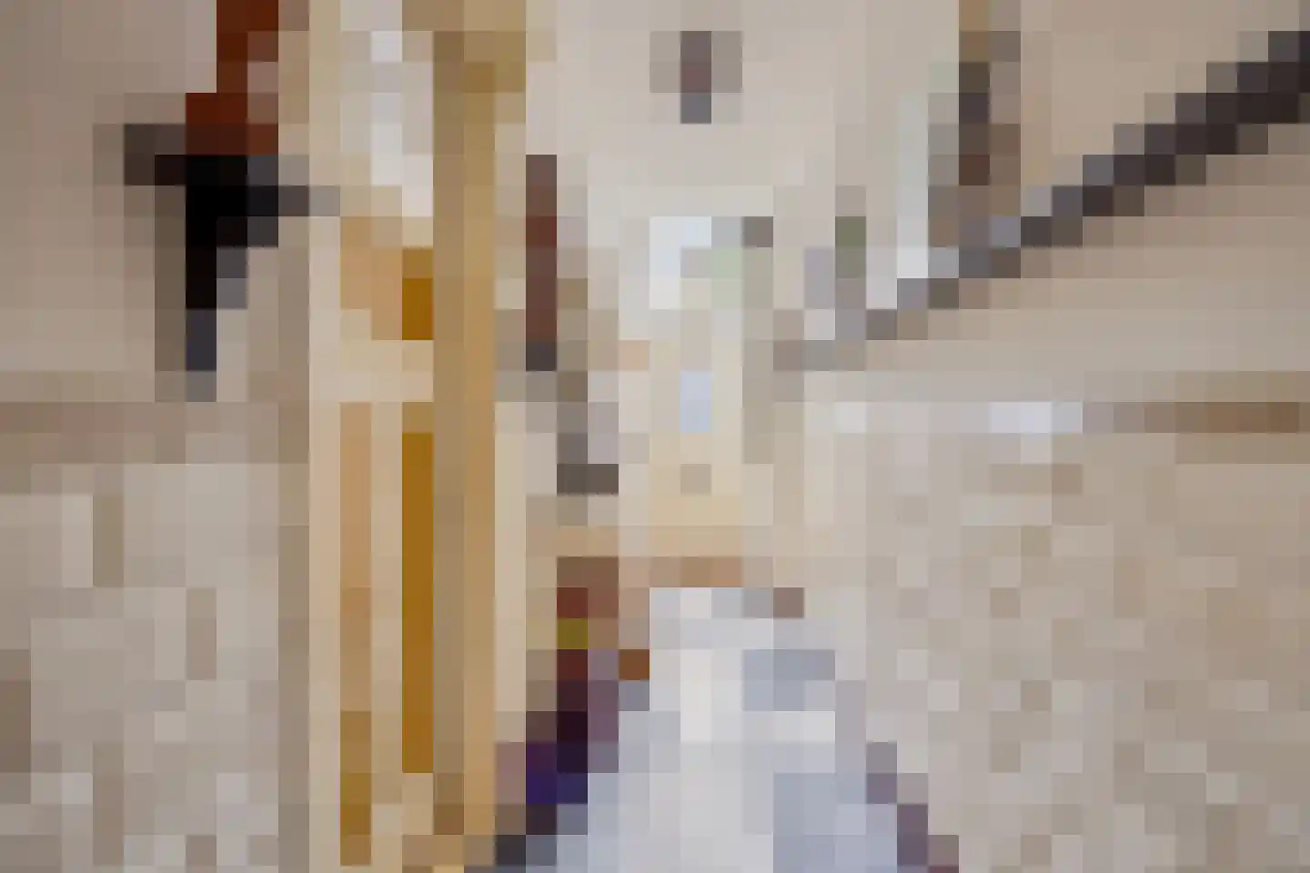Voorstraat 6 Ooltgensplaat thumbnail 4