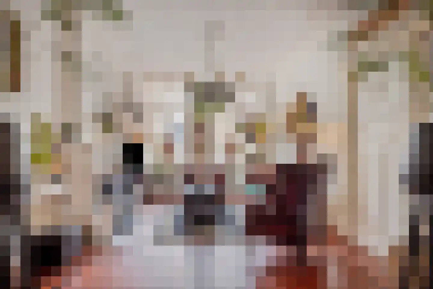 Voorstraat 6 Ooltgensplaat thumbnail 6