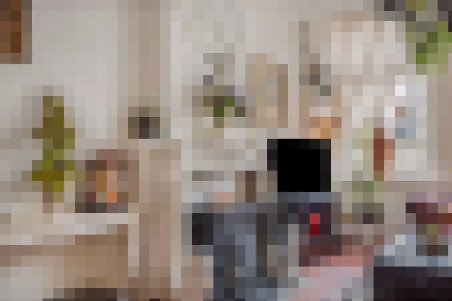 Voorstraat 6 Ooltgensplaat thumbnail 7