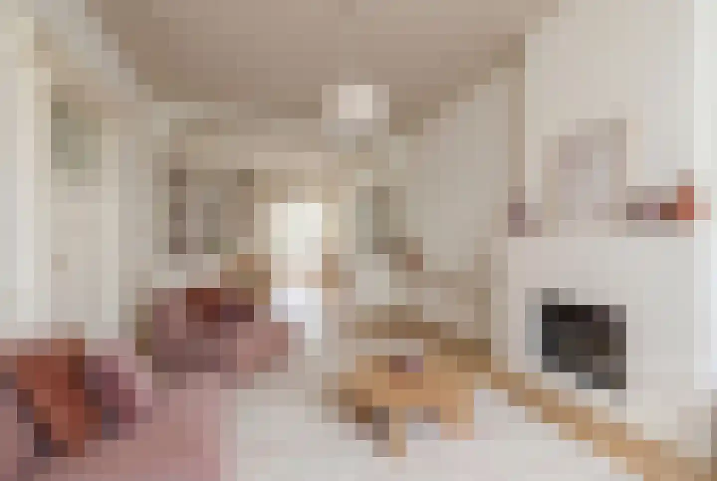 Voorstraat 6 Ooltgensplaat thumbnail 9