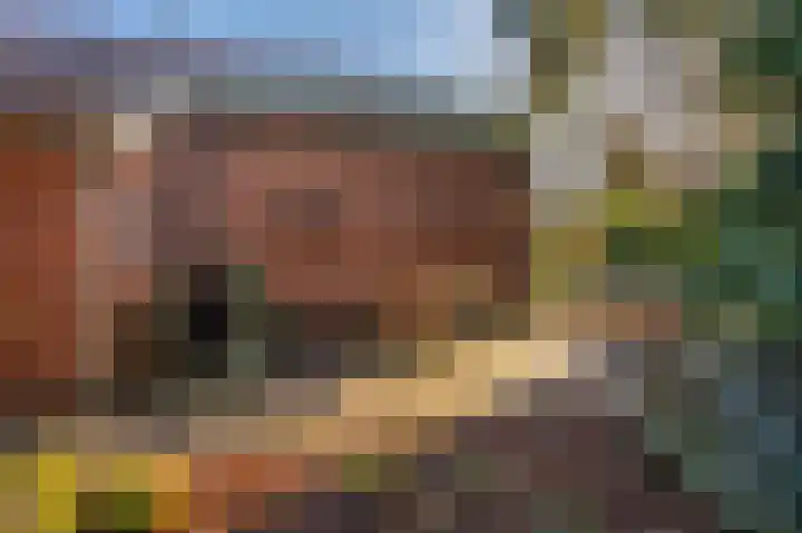 Voorstraat 6 Oudeschans thumbnail 7