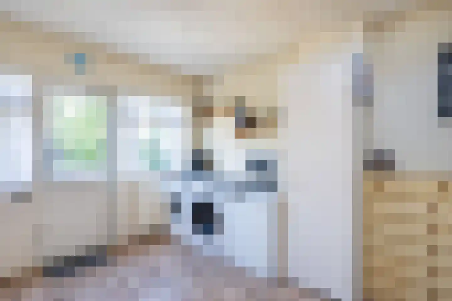 Voorstraat 6 Stad aan 't Haringvliet thumbnail 15