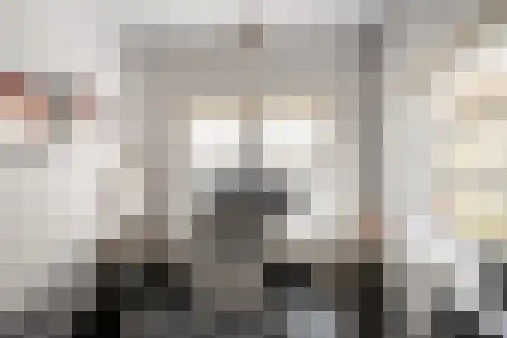 Voorstraat 6 Stavenisse thumbnail 22