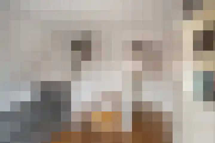 Voorstraat 6 Stavenisse thumbnail 33