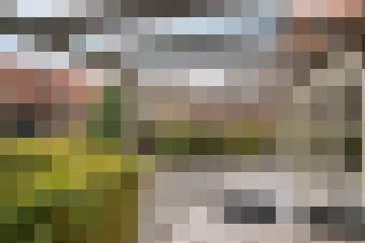 Voorstraat 6 Stavenisse thumbnail 47