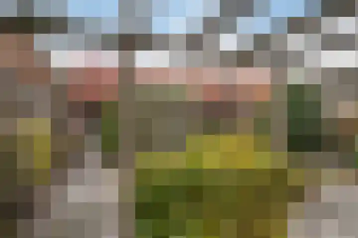 Voorstraat 6 Stavenisse thumbnail 49