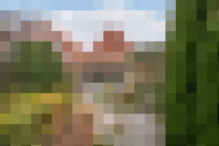 Voorstraat 6 Stavenisse thumbnail 5