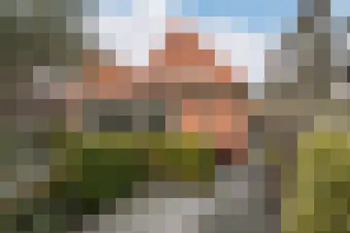Voorstraat 6 Stavenisse thumbnail 51