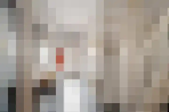 Voorstraat 6 Stavenisse thumbnail 7