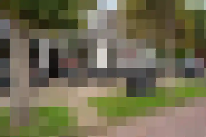 Voorstraat 61 Beesd thumbnail 46