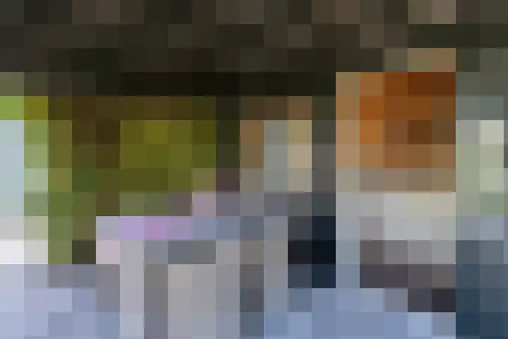 Voorstraat 61 Groot-Ammers thumbnail 36