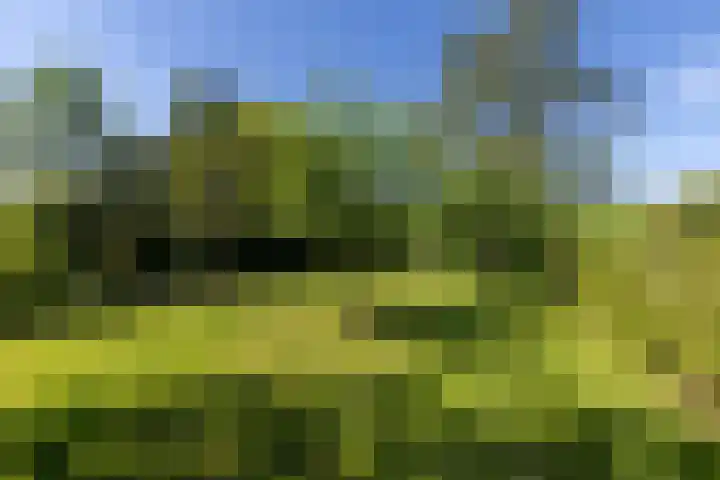 Voorstraat 61 Groot-Ammers thumbnail 39