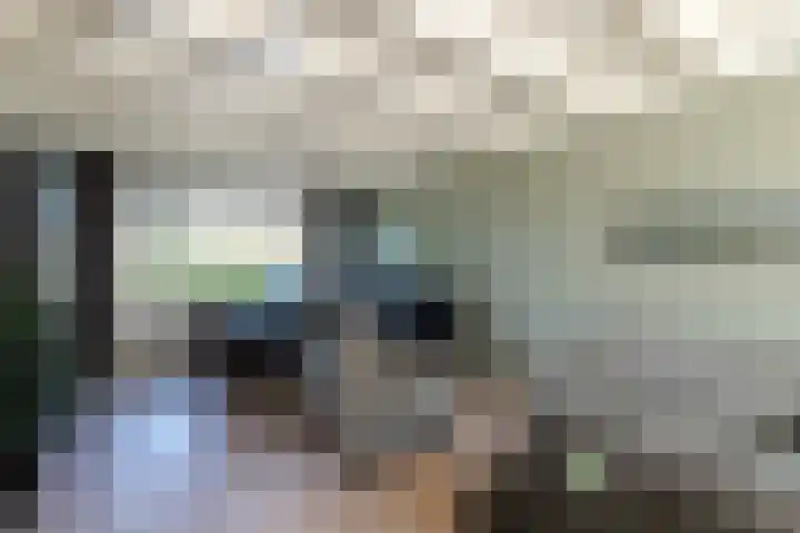 Voorstraat 61 Groot-Ammers thumbnail 8