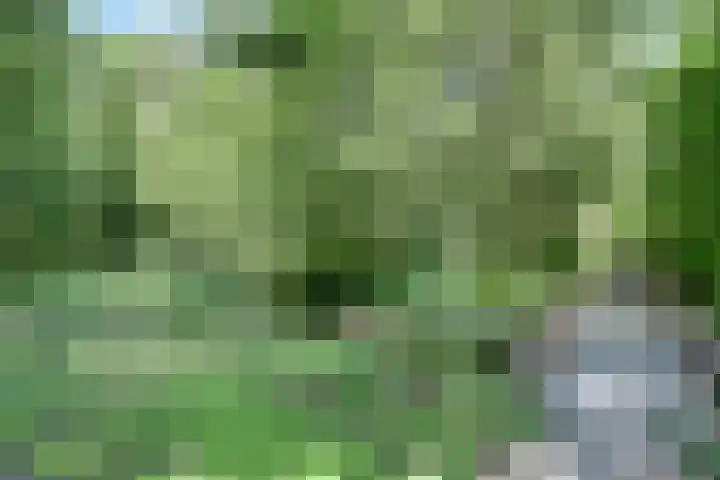 Voorstraat 63 Brielle thumbnail 5