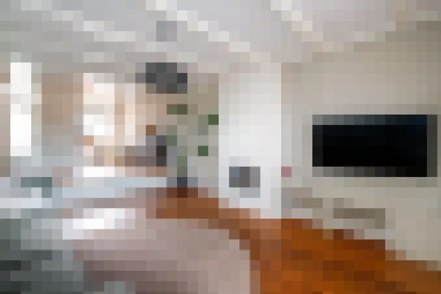 Voorstraat 64 Lekkerkerk thumbnail 12