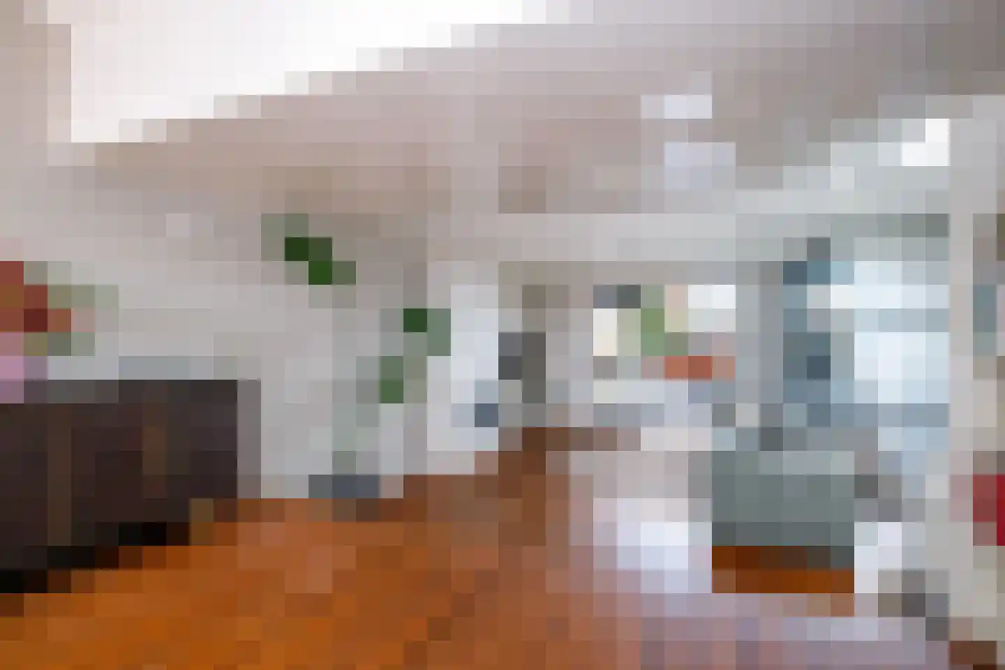 Voorstraat 64 Lekkerkerk thumbnail 14