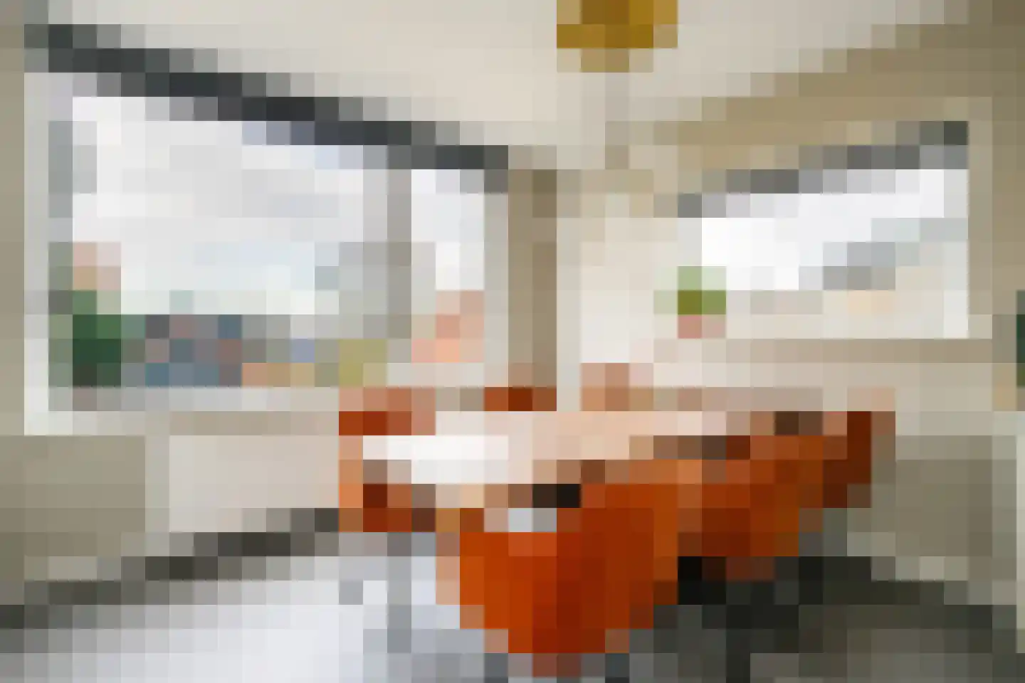 Voorstraat 64 Lekkerkerk thumbnail 16