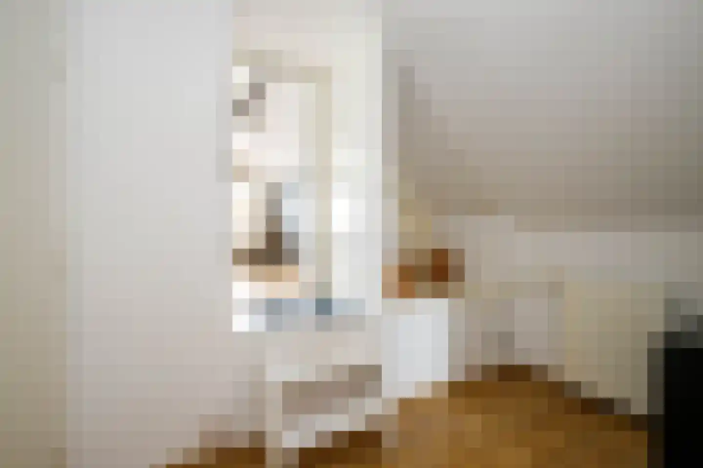Voorstraat 64 Lekkerkerk thumbnail 21