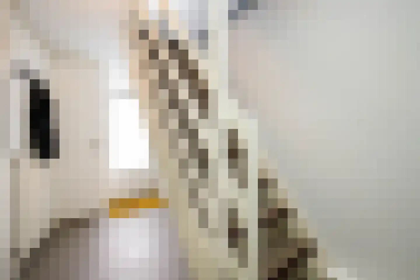 Voorstraat 64 Lekkerkerk thumbnail 28