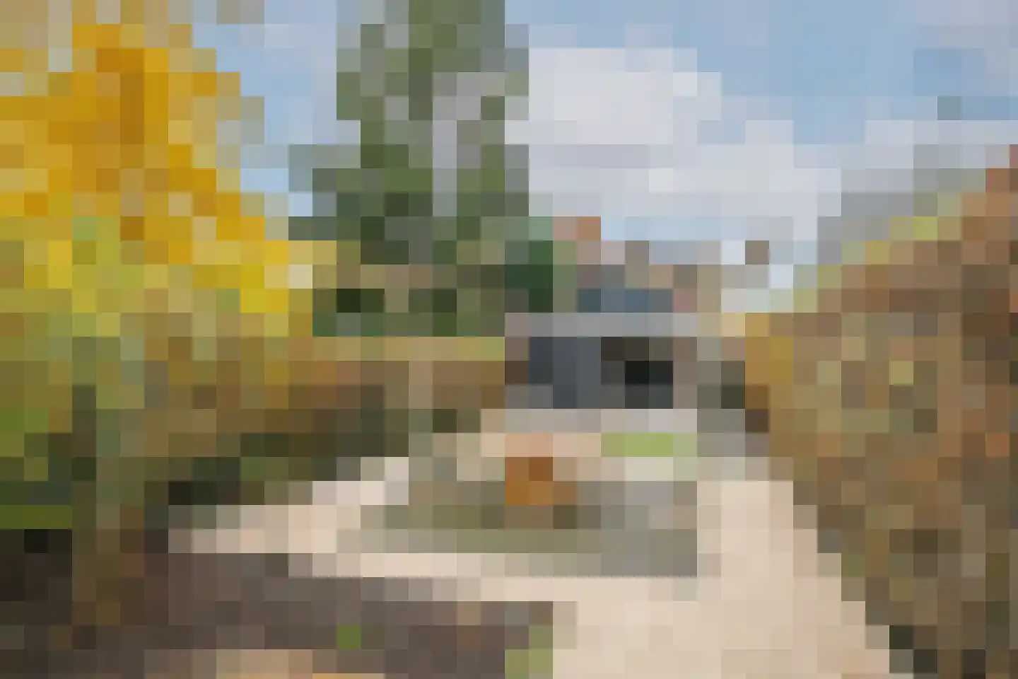 Voorstraat 64 Lekkerkerk thumbnail 38