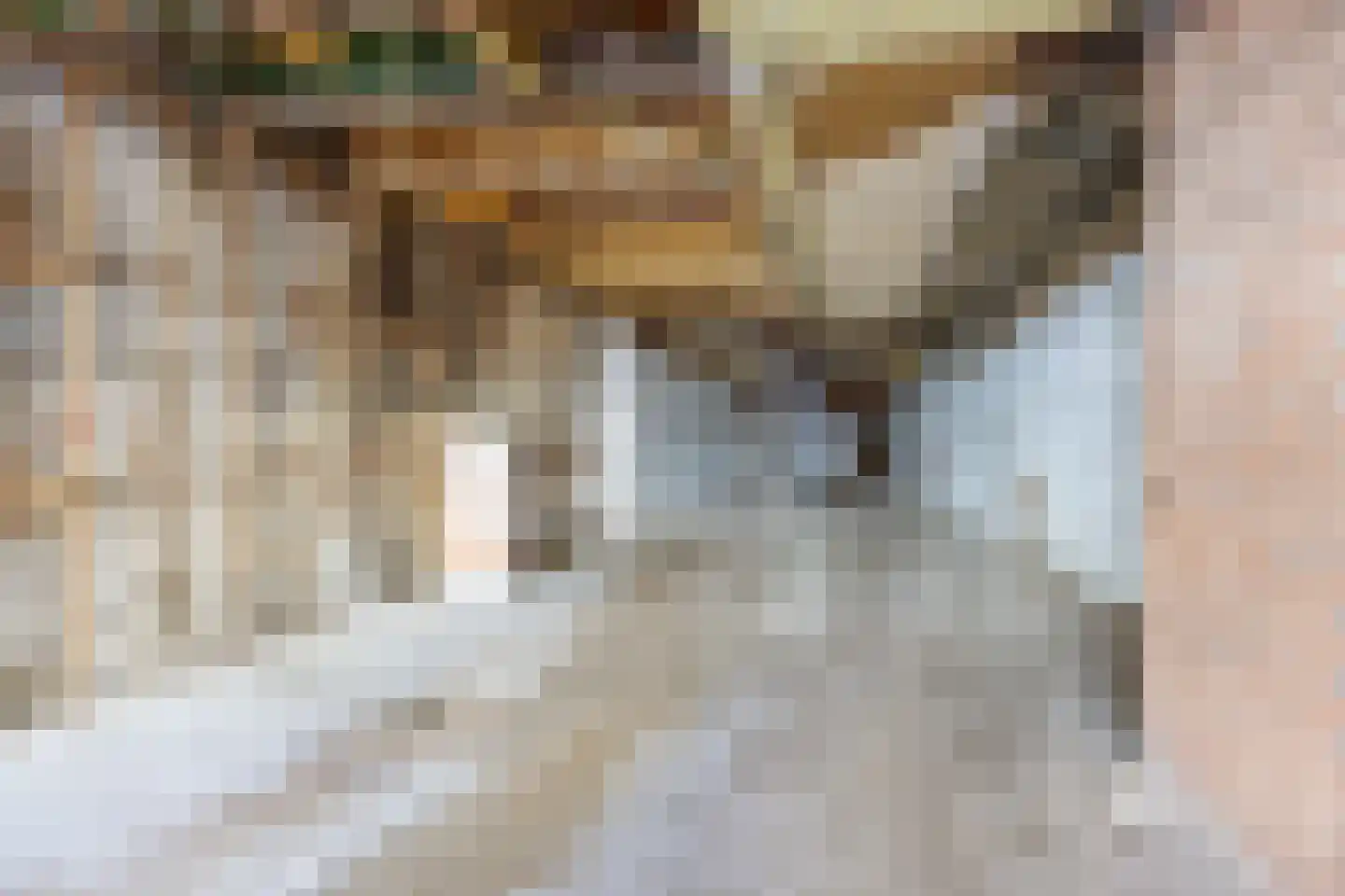 Voorstraat 66 Harlingen thumbnail 13