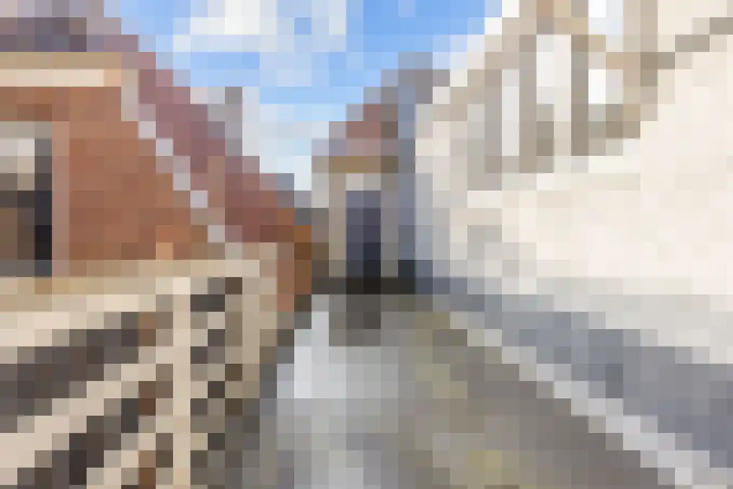 Voorstraat 66 Harlingen thumbnail 48
