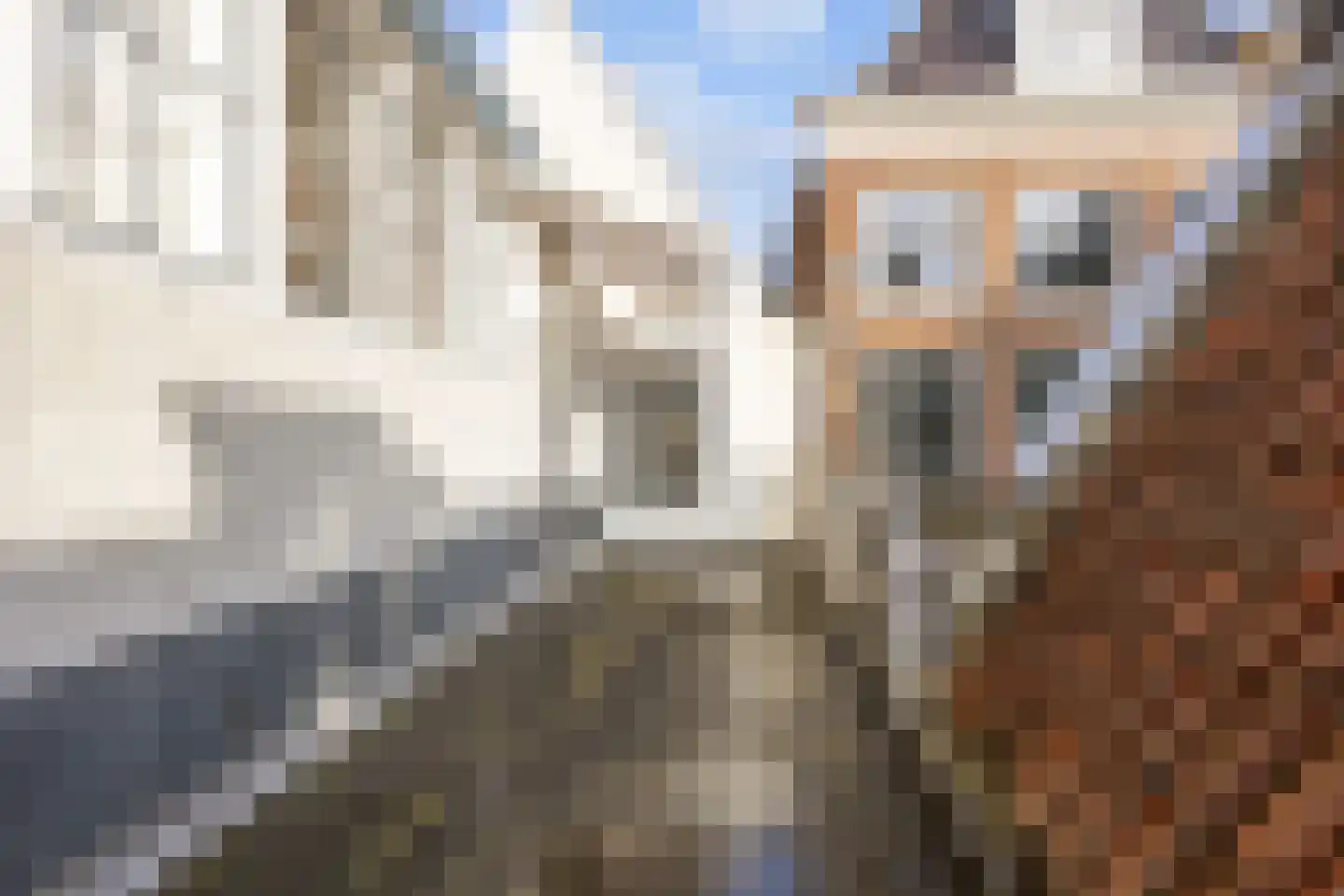 Voorstraat 66 Harlingen thumbnail 49
