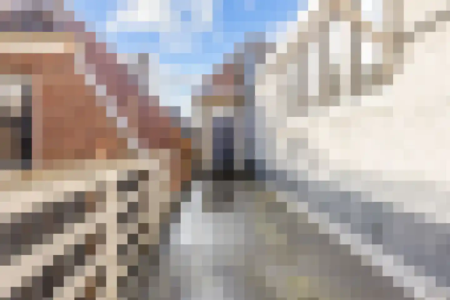 Voorstraat 66 Harlingen thumbnail 5