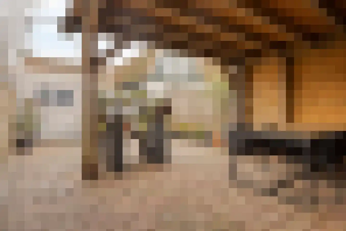 Voorstraat 68 Stellendam thumbnail 33