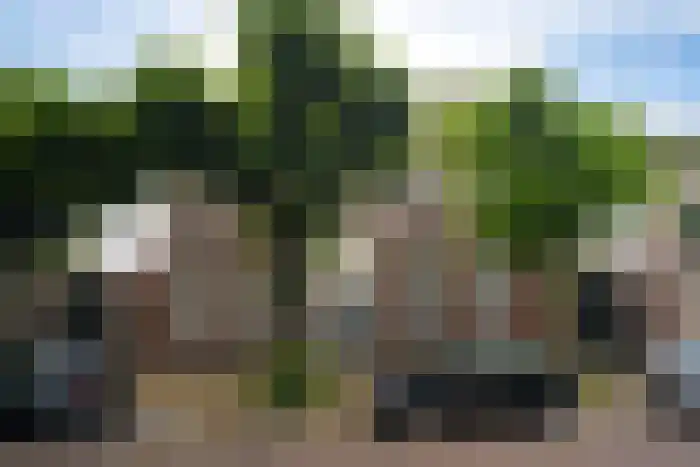 Voorstraat 69 Noordwijk thumbnail 10