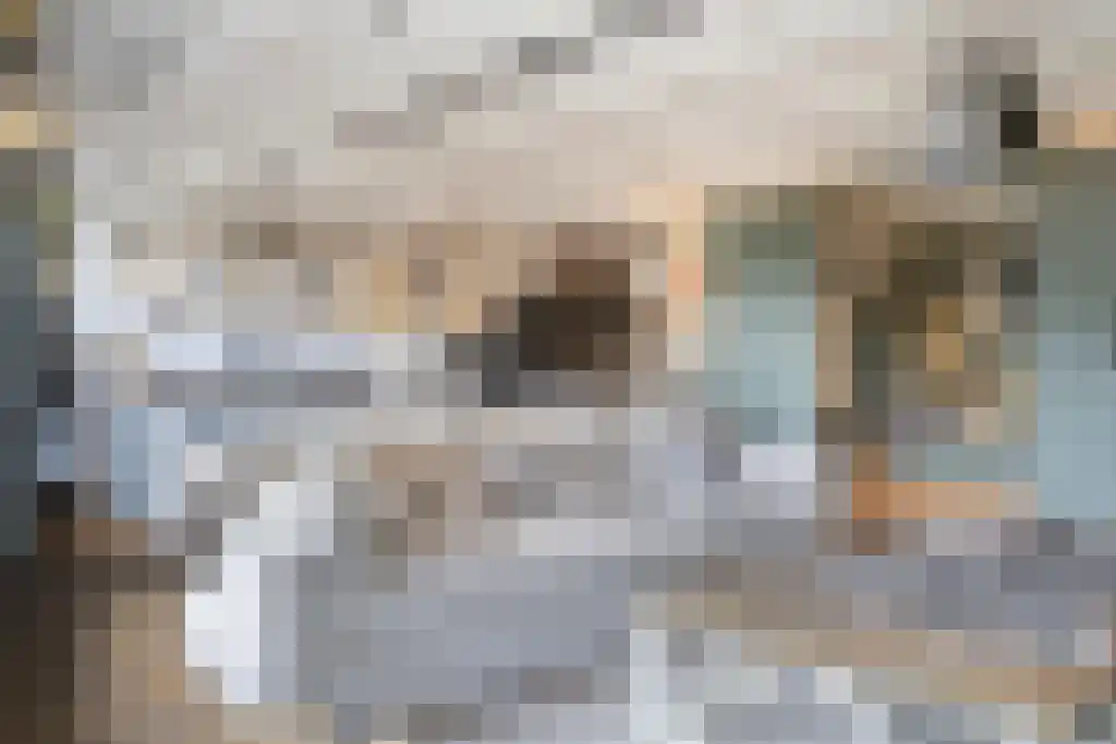 Voorstraat 69 Noordwijk thumbnail 38