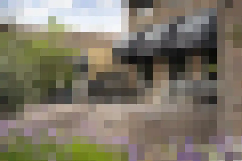 Voorstraat 69 Noordwijk thumbnail 47