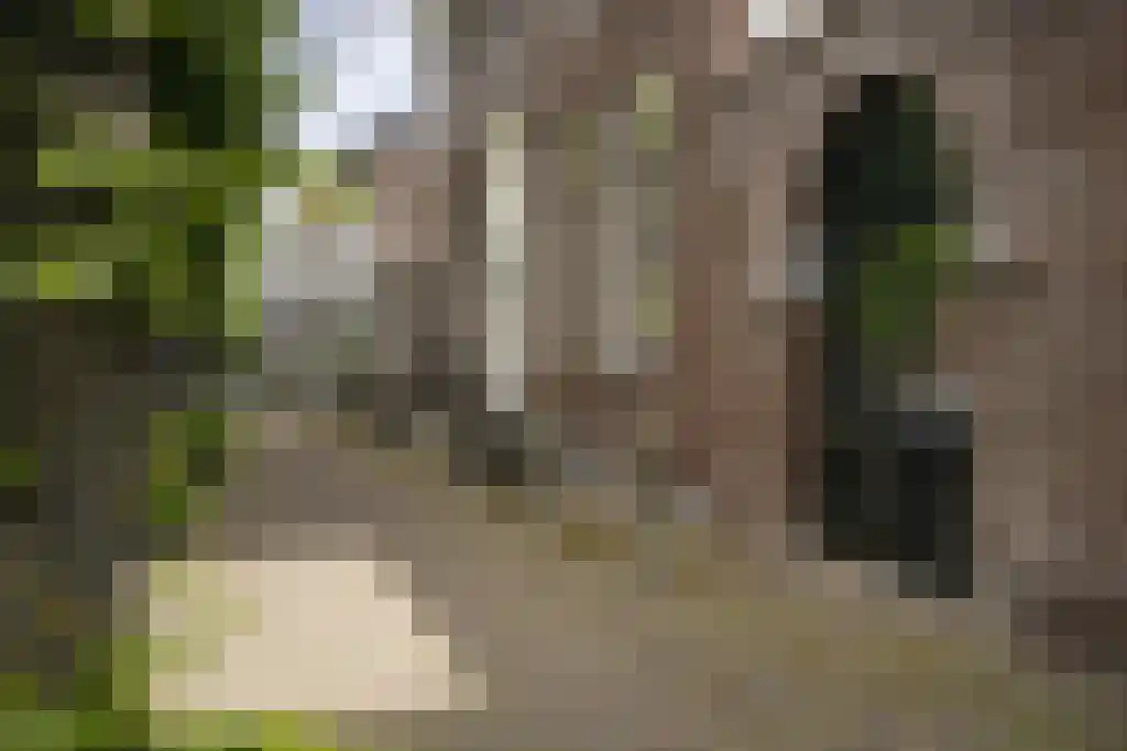 Voorstraat 69 Noordwijk thumbnail 66