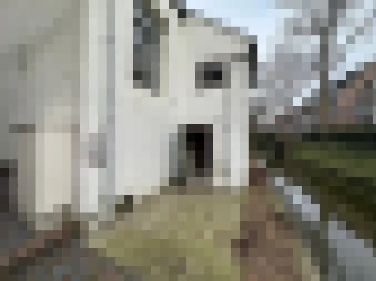 Voorstraat 7 IJsselstein thumbnail 21