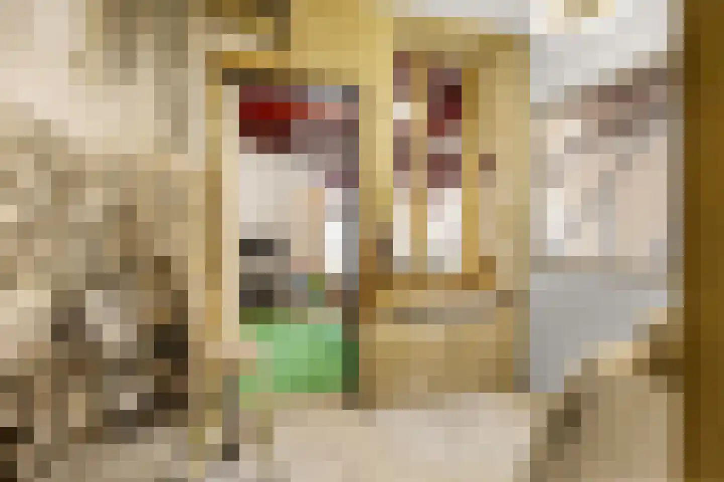 Voorstraat 7 Makkum thumbnail 16