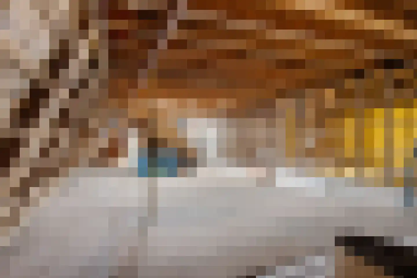 Voorstraat 7 Makkum thumbnail 21