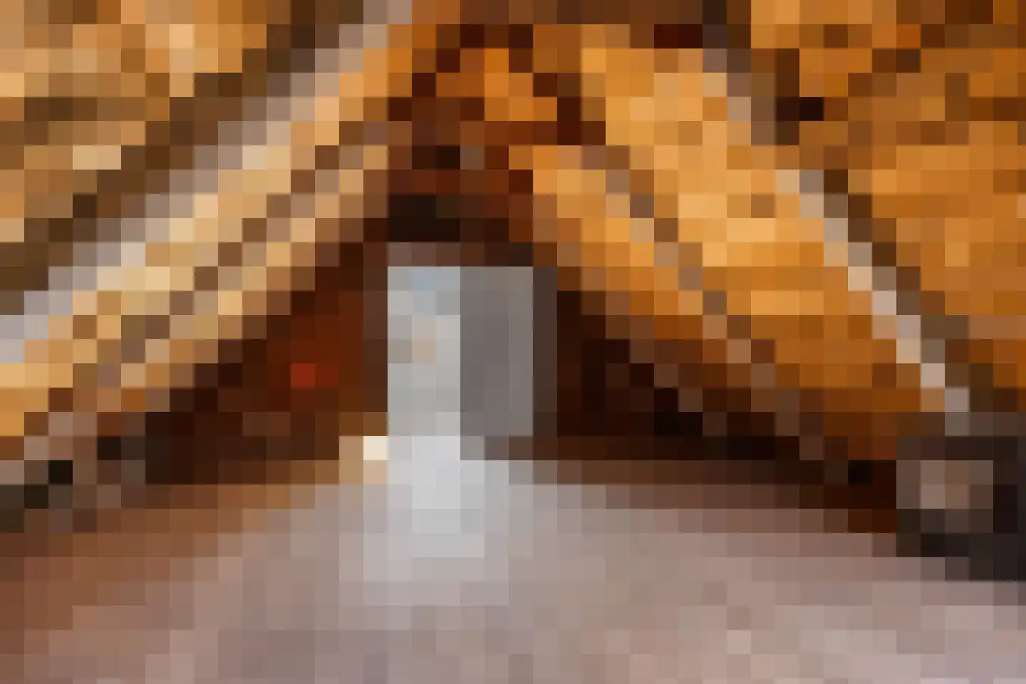 Voorstraat 7 Makkum thumbnail 29