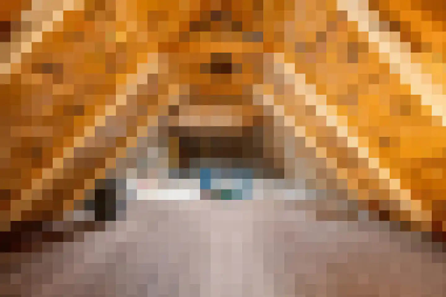 Voorstraat 7 Makkum thumbnail 30