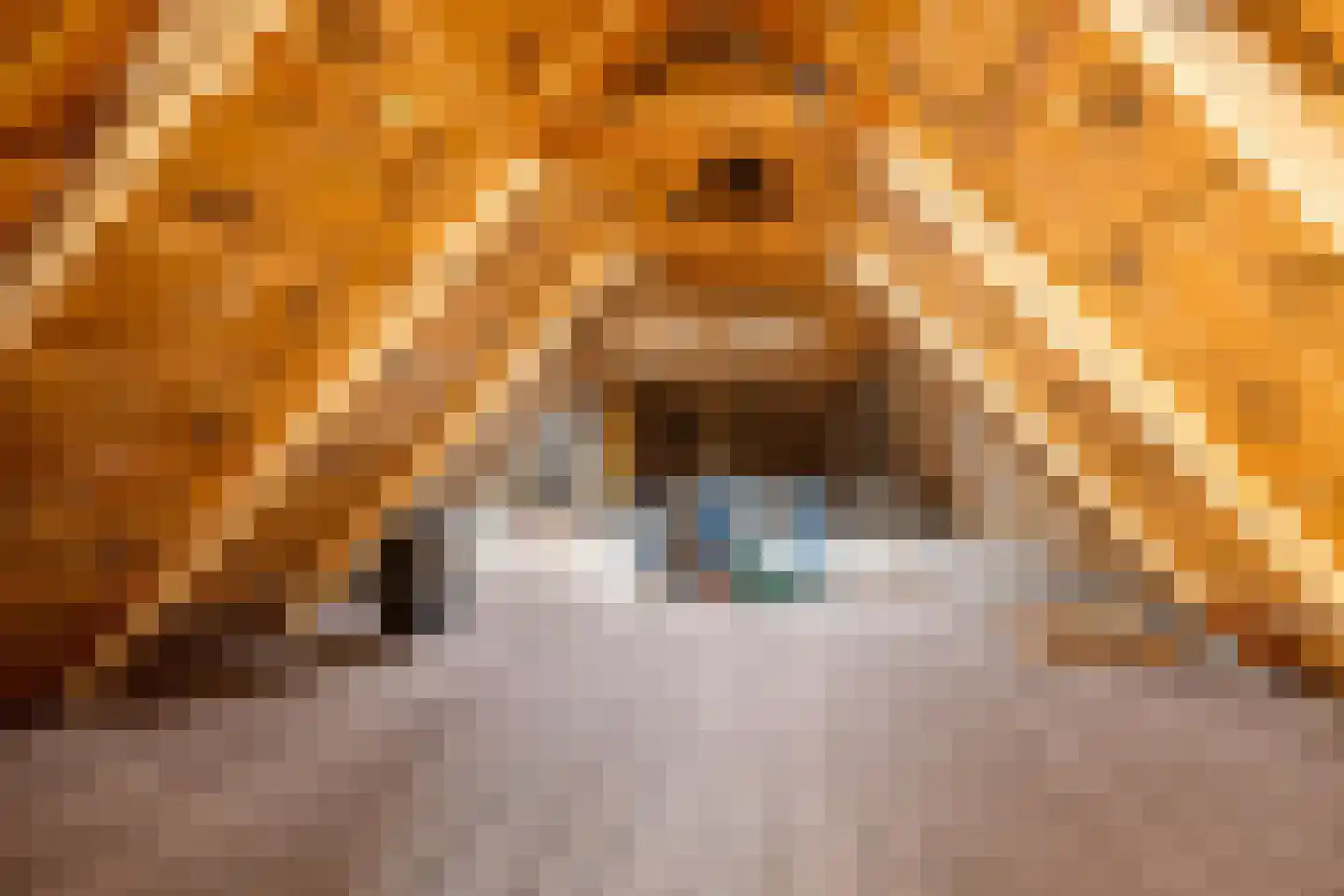 Voorstraat 7 Makkum thumbnail 31