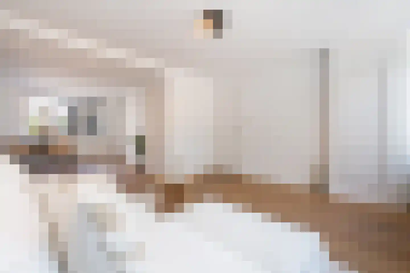 Voorstraat 71 Stellendam thumbnail 6