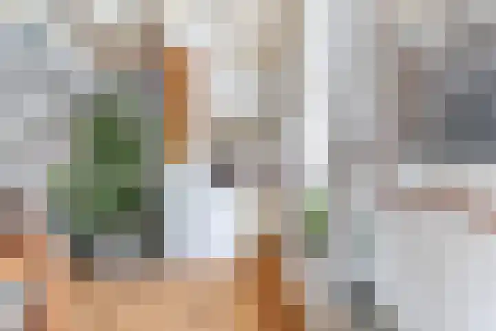 Voorstraat 72 Lekkerkerk thumbnail 10