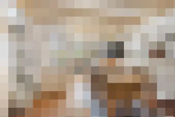 Voorstraat 72 Lekkerkerk thumbnail 12
