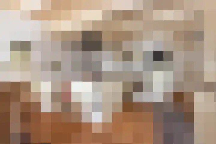 Voorstraat 72 Lekkerkerk thumbnail 14